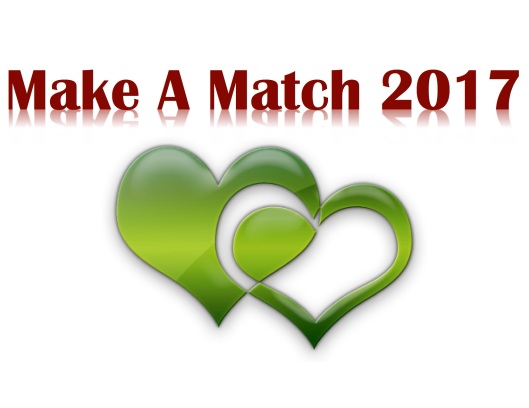 2017_make_a_match_logo_only1